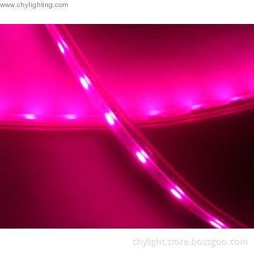 Flexible Strip LED 3528 DC12V,Pink Color,300LEDs